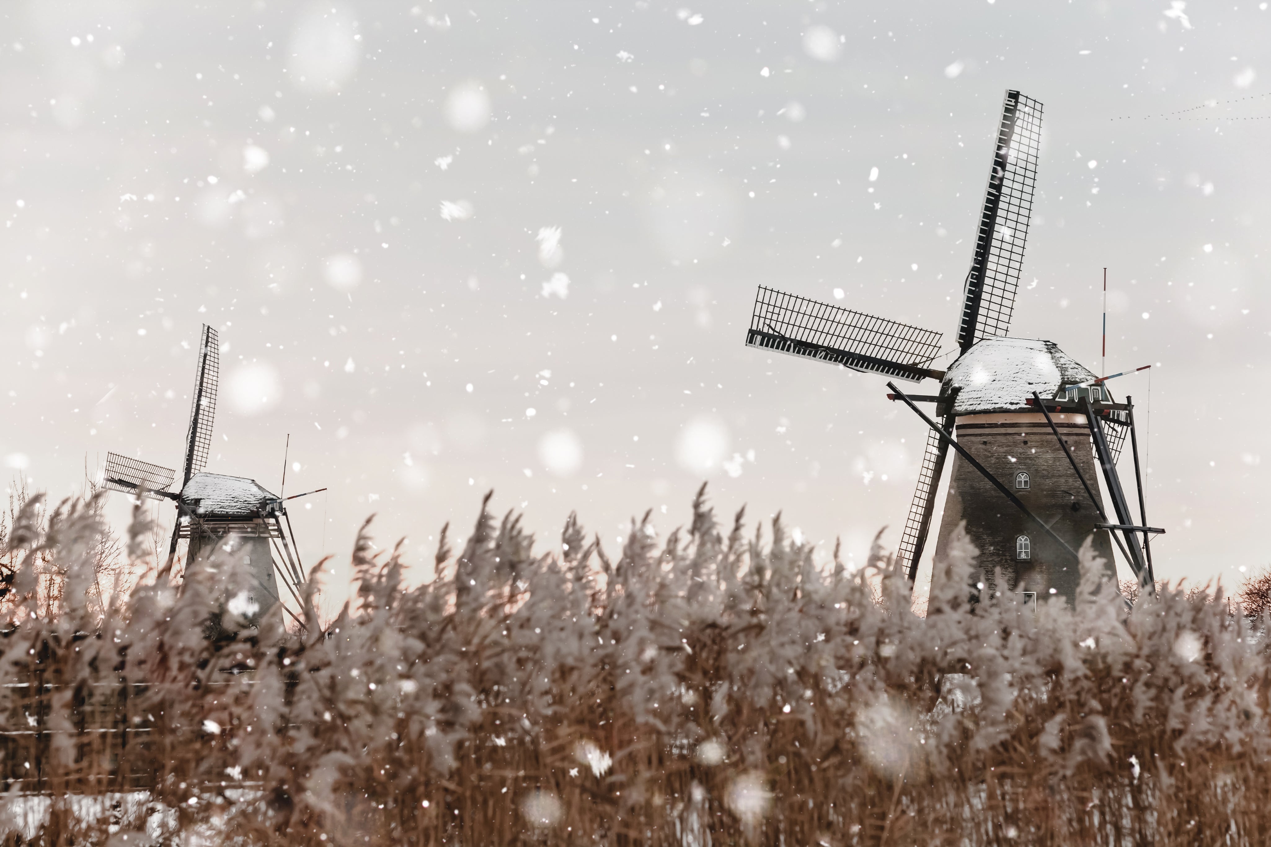 Cognitive Surplus Has Arrived in Europe!