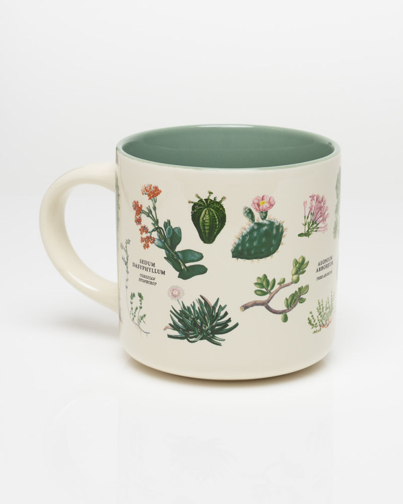 Succulents 15 oz Ceramic Mug