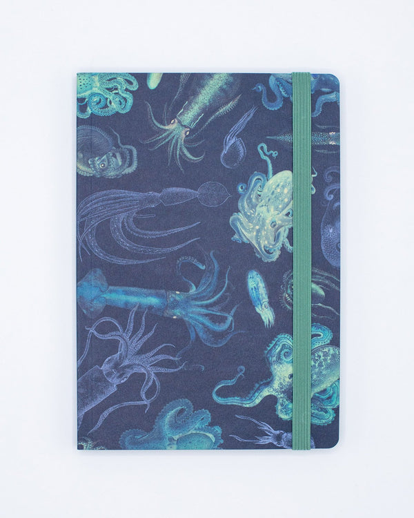 Sea Monsters: Octopus & Squid A5 Softcover
