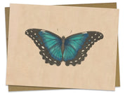 Vintage Butterfly Illustration Specimen C Greeting Card - Cognitive Surplus - 2