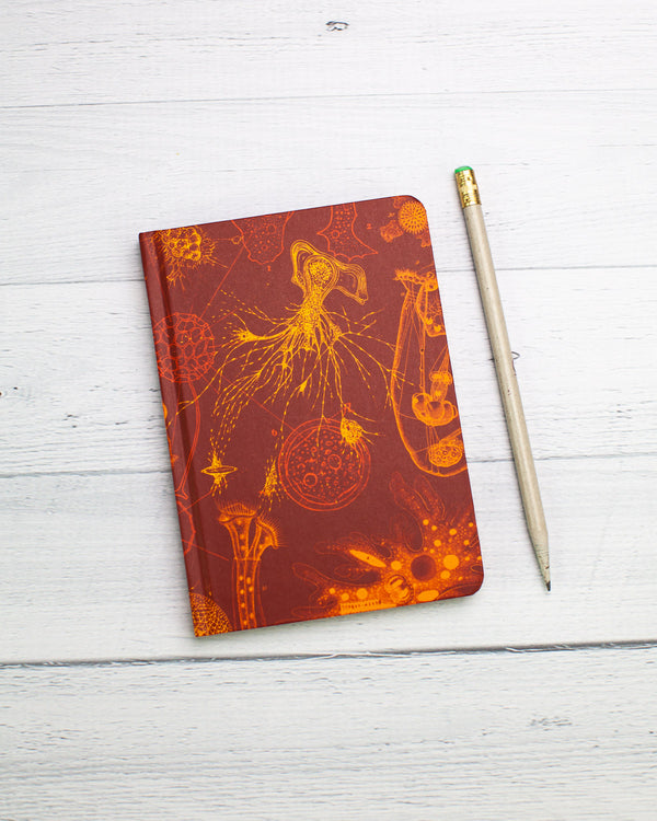 Microbiology mini hardcover recycled notebook by cognitive surplus