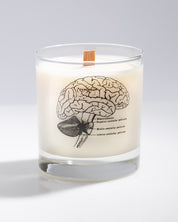 Brain Cocktail Candle