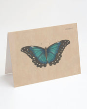 Vintage Butterfly Illustration Specimen C Greeting Card - Cognitive Surplus - 1