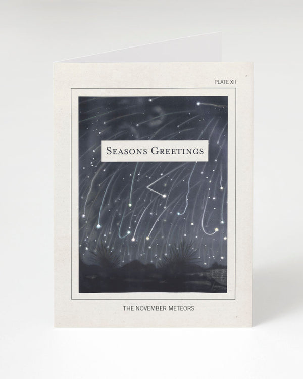 November Meteors: Seasons Greetings