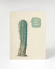 Sorry I Was A Prick: Cactus Card