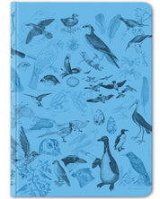Birds ornithology hardcover dot grid notebook by Cognitive Surplus, 100% recycled paper, sky blue