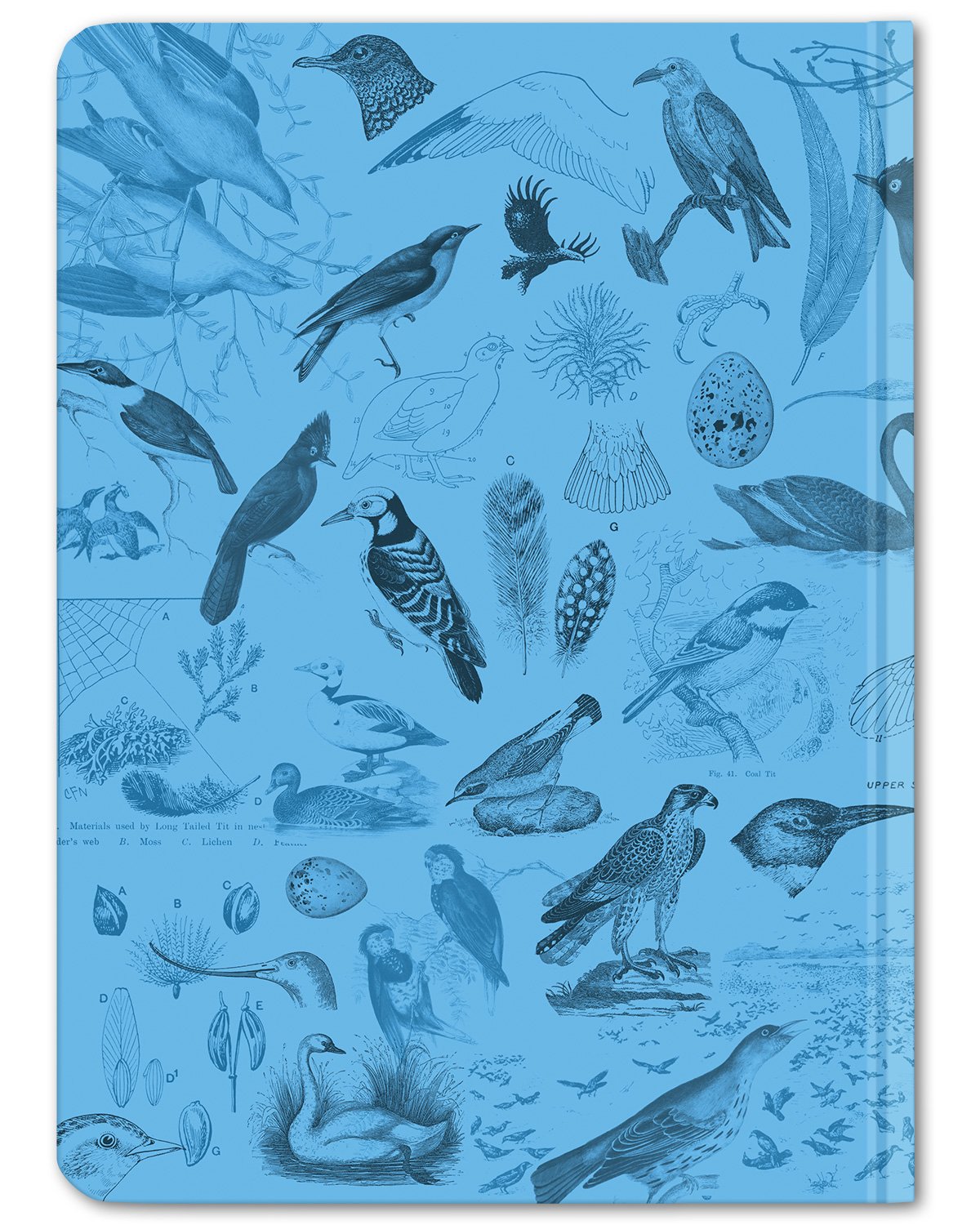 Back cover of Birds ornithology hardcover dot grid notebook by Cognitive Surplus, 100% recycled paper, sky blue