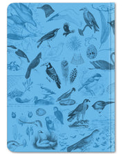 Back cover of Birds ornithology hardcover dot grid notebook by Cognitive Surplus, 100% recycled paper, sky blue