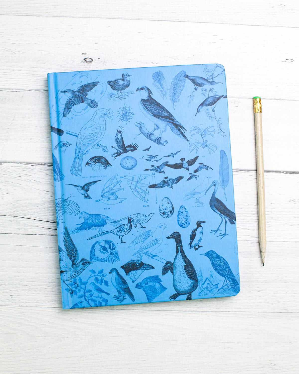 Birds hardcover recycled notebook by Cognitive Surplus