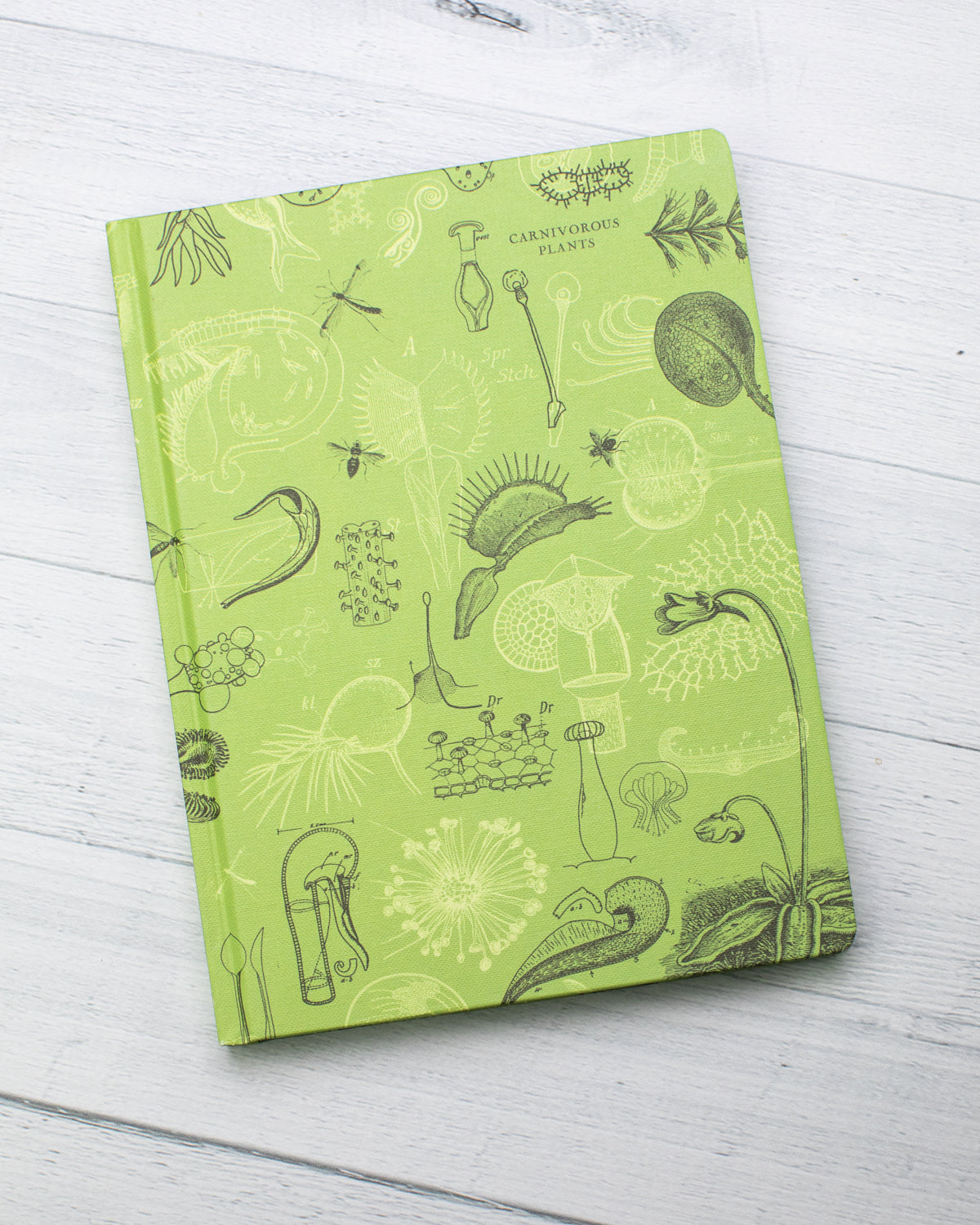Carnivorous Plants Hardcover - Lined/Grid