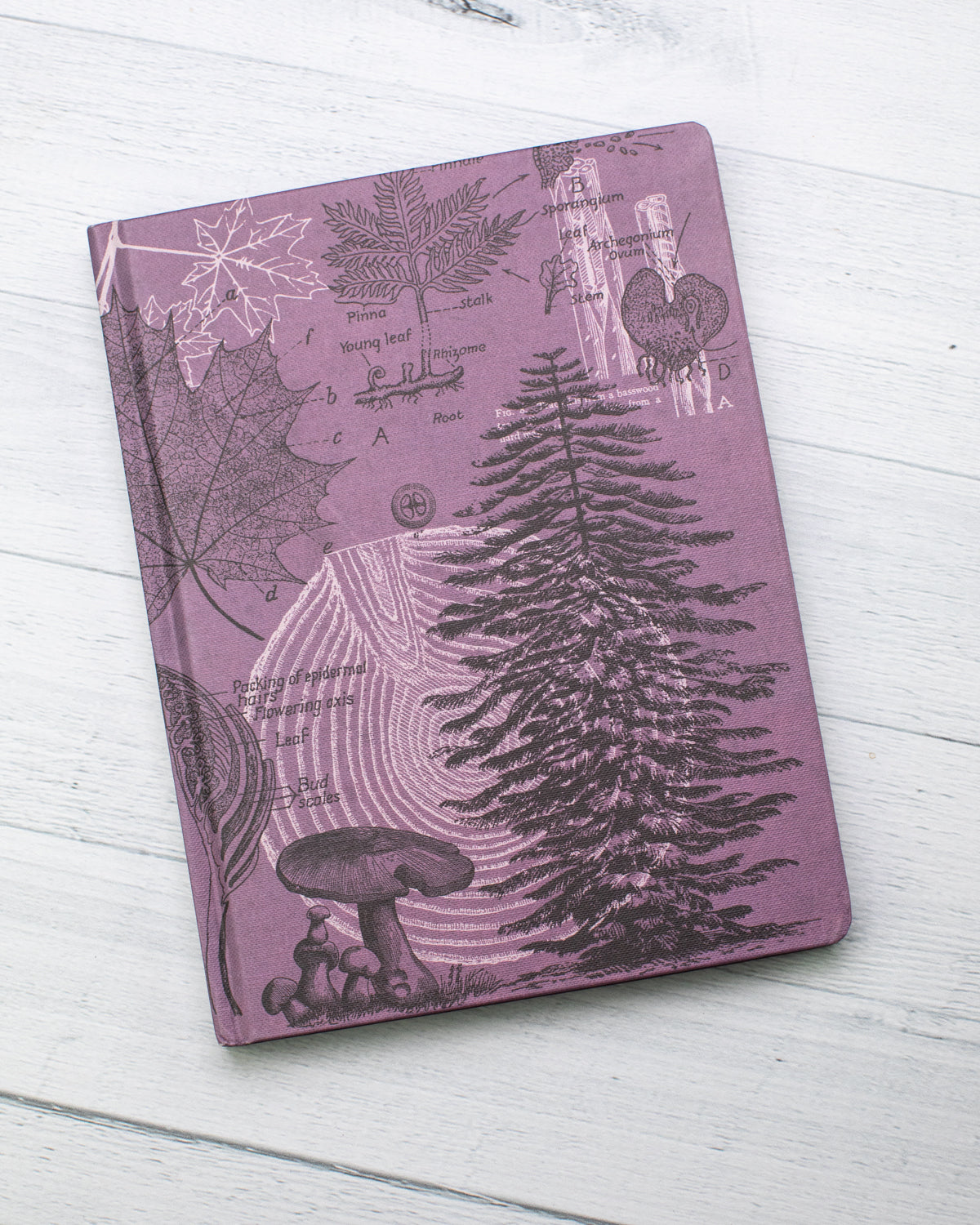 Forest at Dusk Hardcover - Lined/Grid