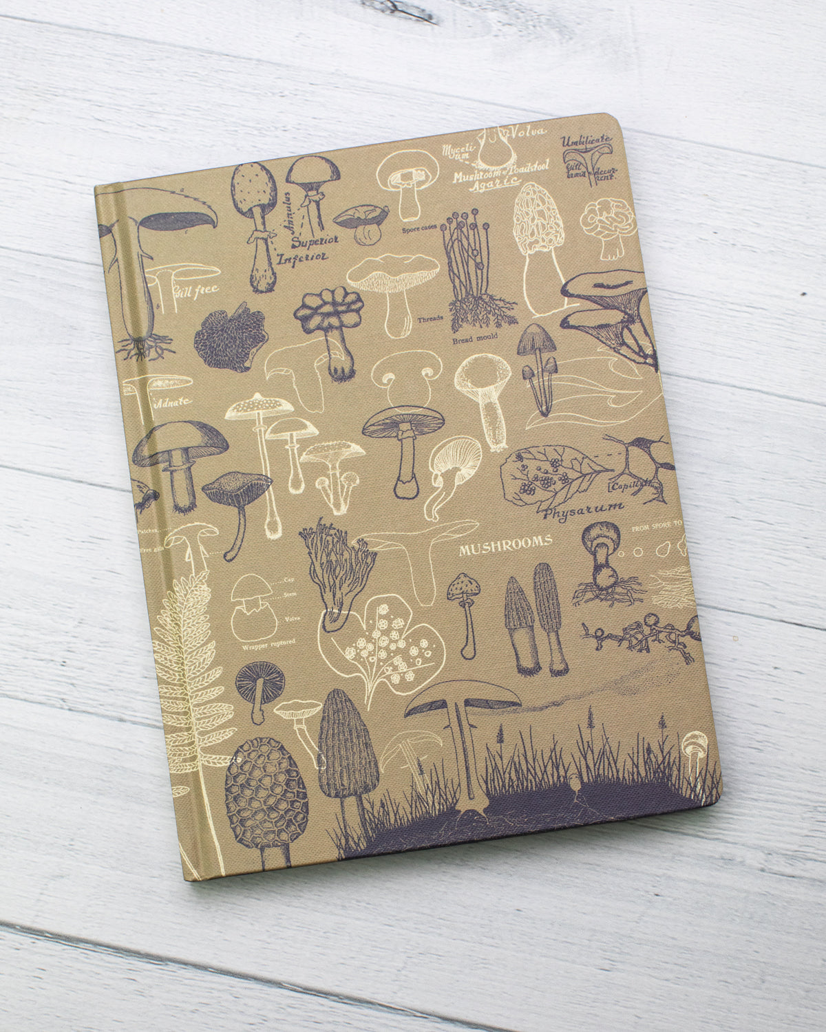 Mushrooms Hardcover - Dot Grid
