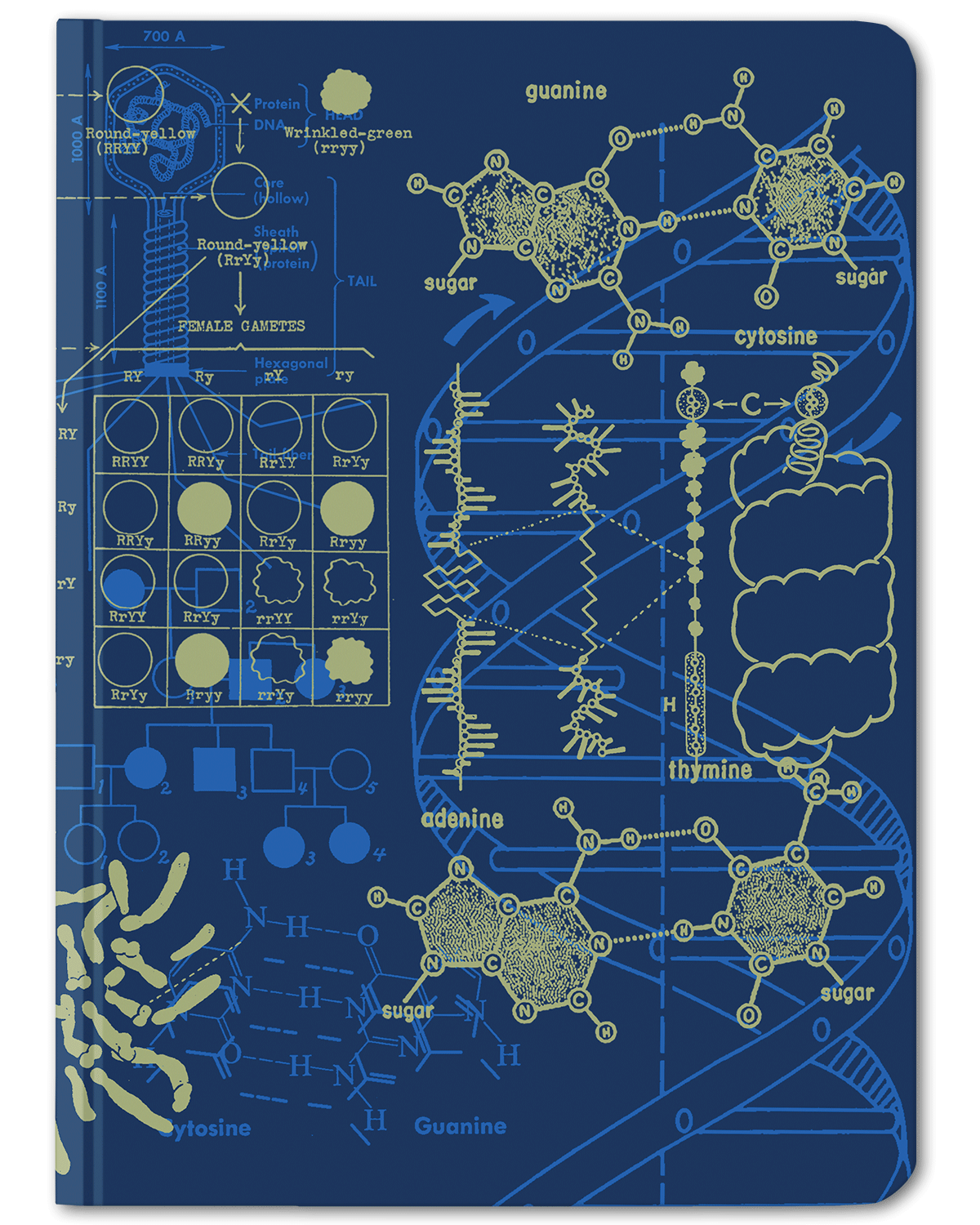 Genetics DNA Hardcover dot grid notebook by Cognitive Surplus, blue and yellow, 100% recycled paper