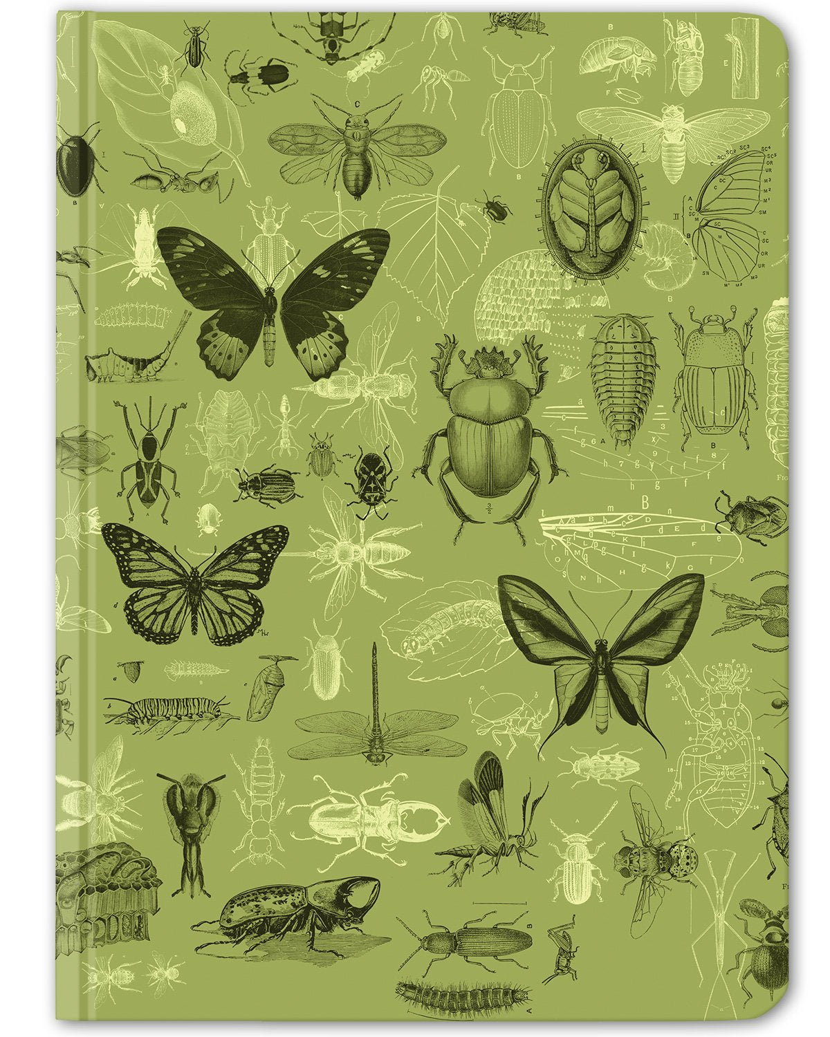 Insects hardcover dot grid journal by Cognitive Surplus, leafy green, 100% recycled paper