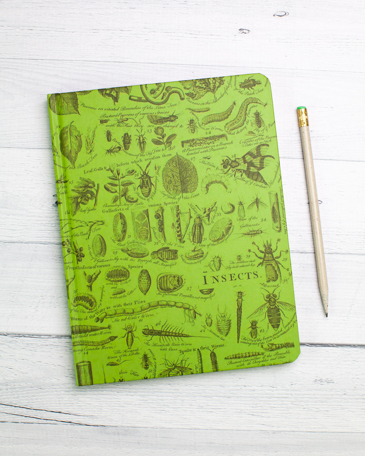 Insects hardcover recycled notebook by Cognitive Surplus