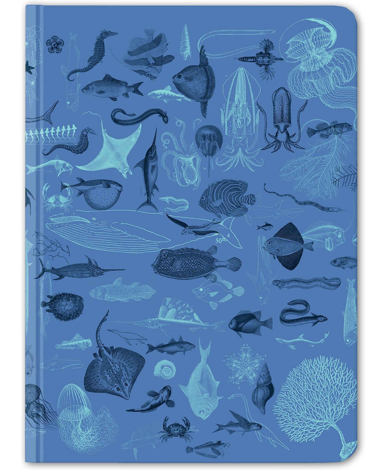 Marine animals hardcover dot grid notebook by Cognitive Surplus, sea blue, 100% recycled paper