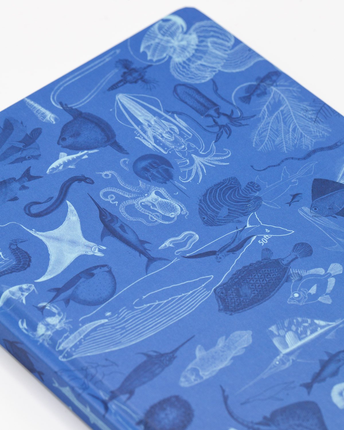 Marine animals hardcover dot grid notebook by Cognitive Surplus, detail, sea blue, 100% recycled paper