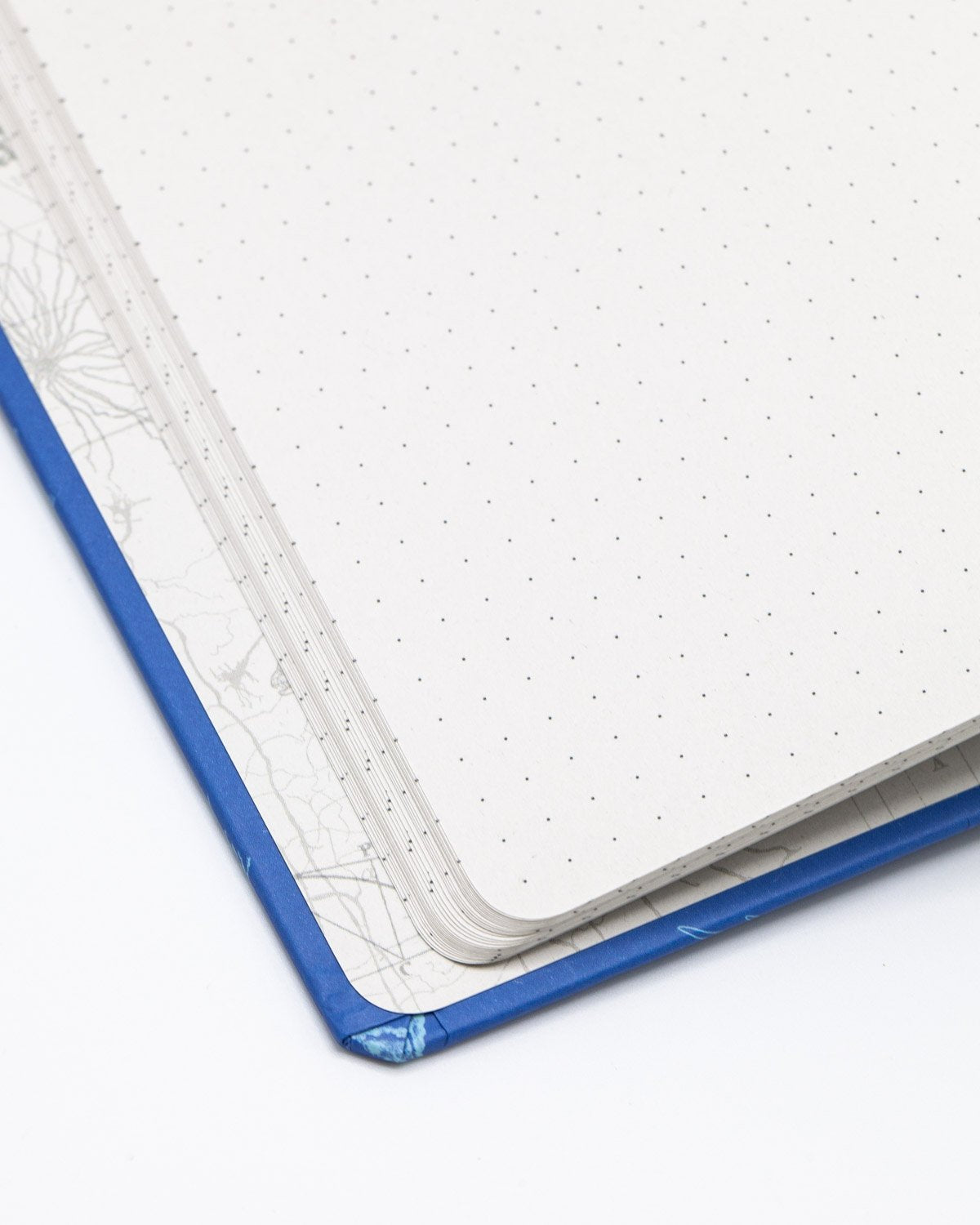 Inside cover of Marine animals hardcover dot grid notebook by Cognitive Surplus, sea blue, 100% recycled paper