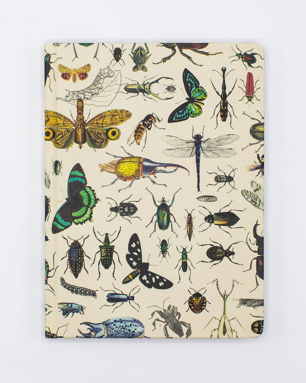 Butterflies & Beetles Hardcover - Blank