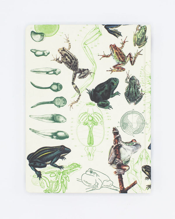 Frogs & Toads Hardcover - Dot Grid
