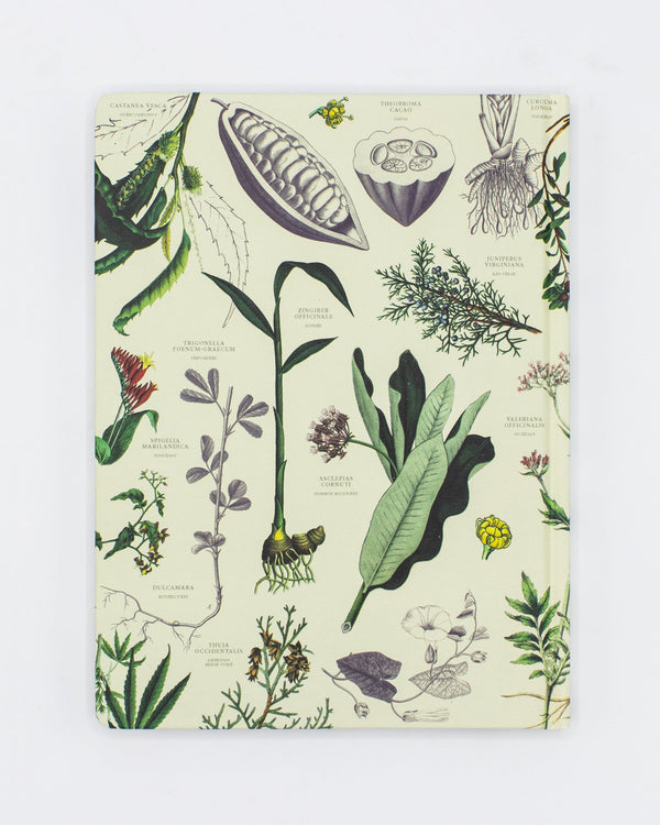 Medicinal Botany Hardcover - Lined/Grid