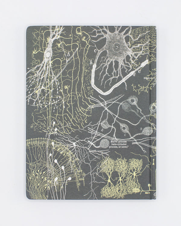 Neurons Hardcover - Lined/Grid