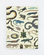 Reptiles & Amphibians Hardcover - Lined/Grid