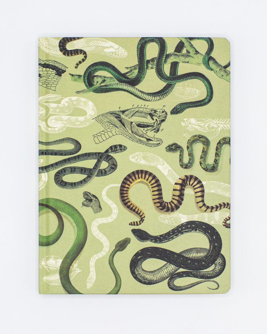 Snakes Hardcover - Lined/Grid