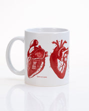 Anatomical Heart Mug | Anatomy Gift | Cognitive Surplus