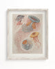 Haeckel Jellyfish Museum Print
