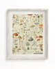 Mushrooms Plate 2 Museum Print