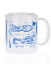Cephalopods 20 oz Mega Mug