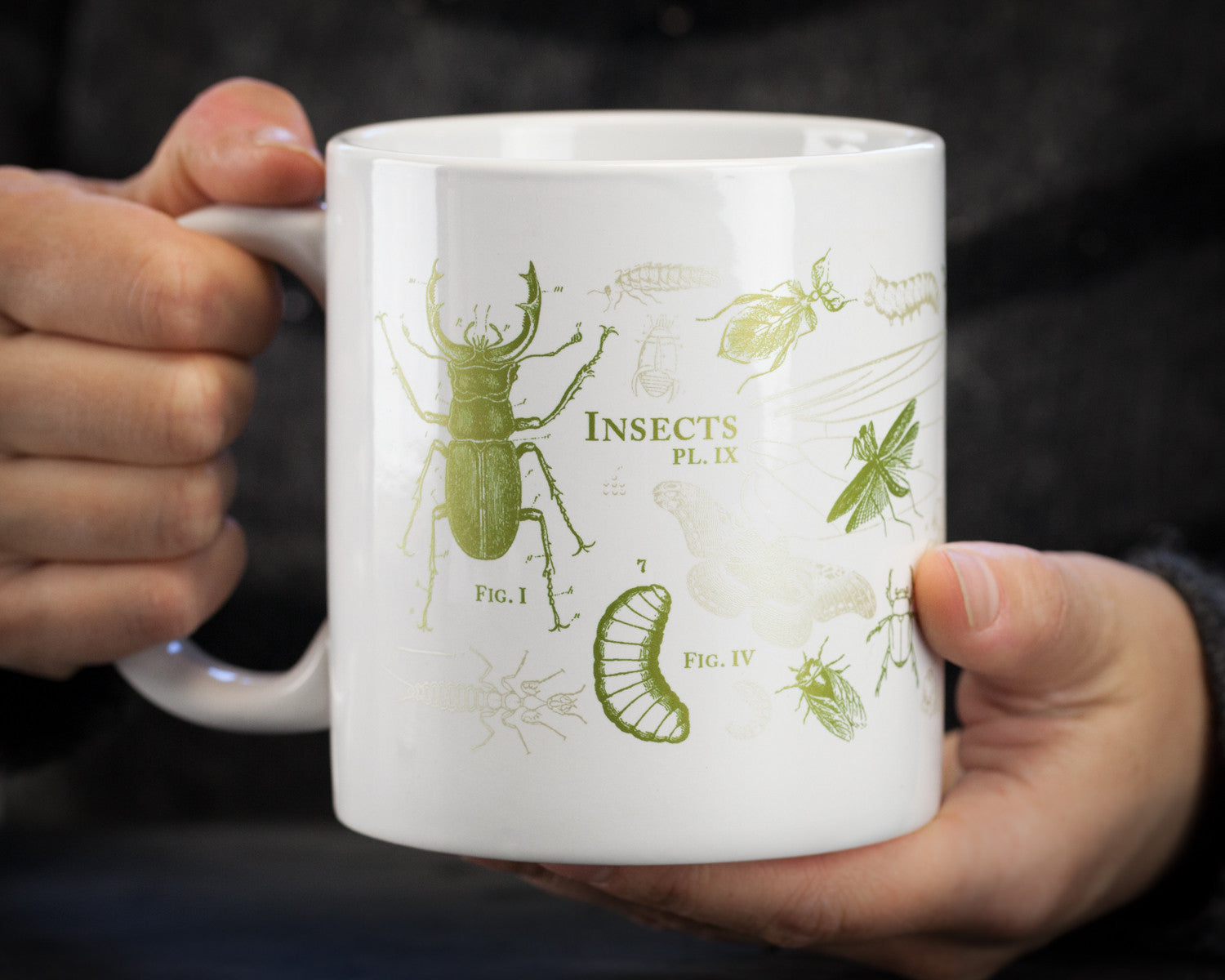 Mug_Insects_Hands.jpg