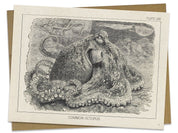 Octopus Specimen Card