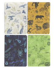 Carnivores Notebooks 4-pack