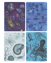 Marine Biology Notebooks 4-pack