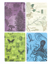 Covers of Natural Science mini softcovers