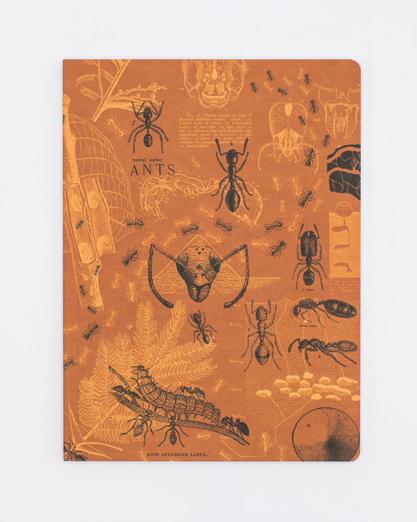 Ants Softcover Notebook - Lined