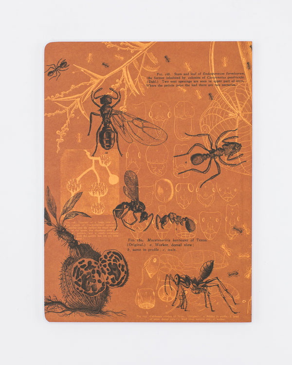 Ants Softcover Notebook - Lined