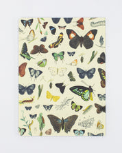 Butterflies Softcover - Dot Grid