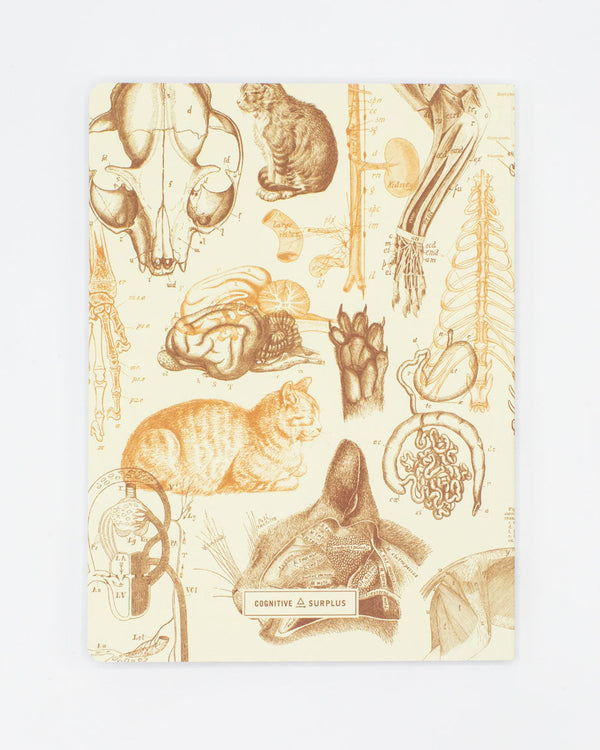 Veterinary Science: Cats Softcover Notebook - Lined