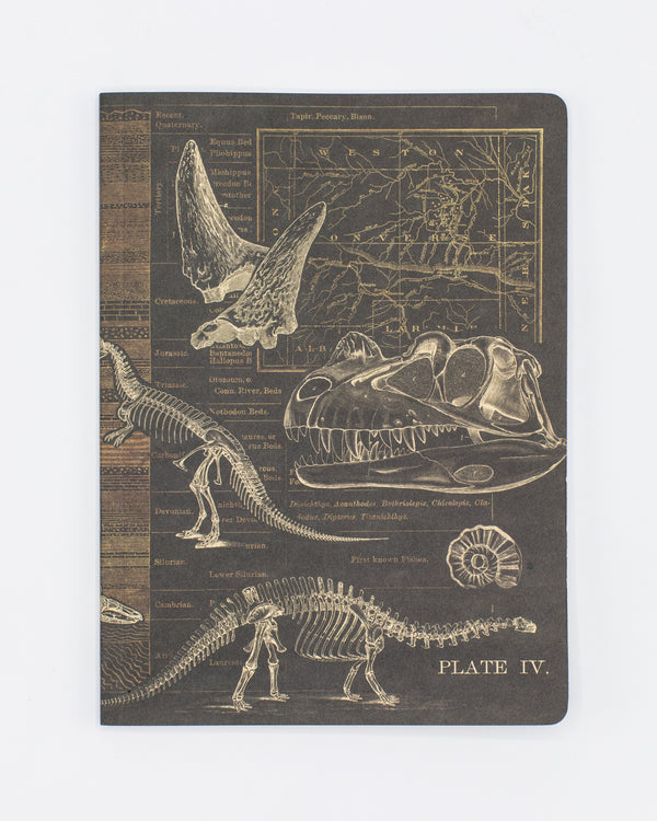 Dinosaur Softcover Notebook - Dot Grid