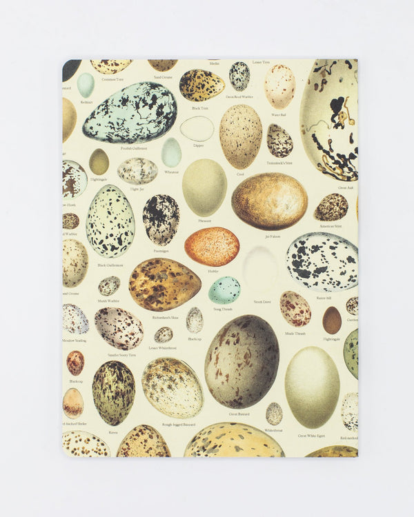 Eggs Softcover - Lined