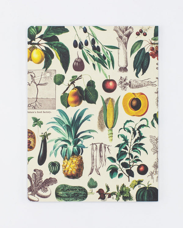 Fruits & Vegetables Softcover - Dot Grid