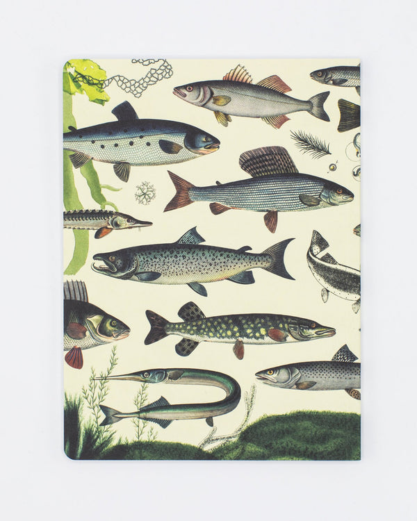 Freshwater Fish Softcover - Dot Grid