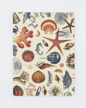 Shallow Seas Plate 2 Softcover- Lined