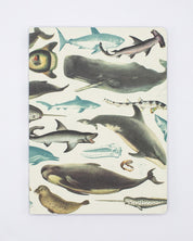 Whales & Seals Softcover - Lined