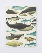Whales & Seals Softcover - Lined