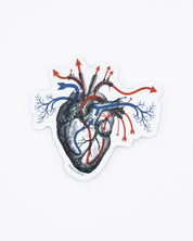 Heart Blood Flow Sticker