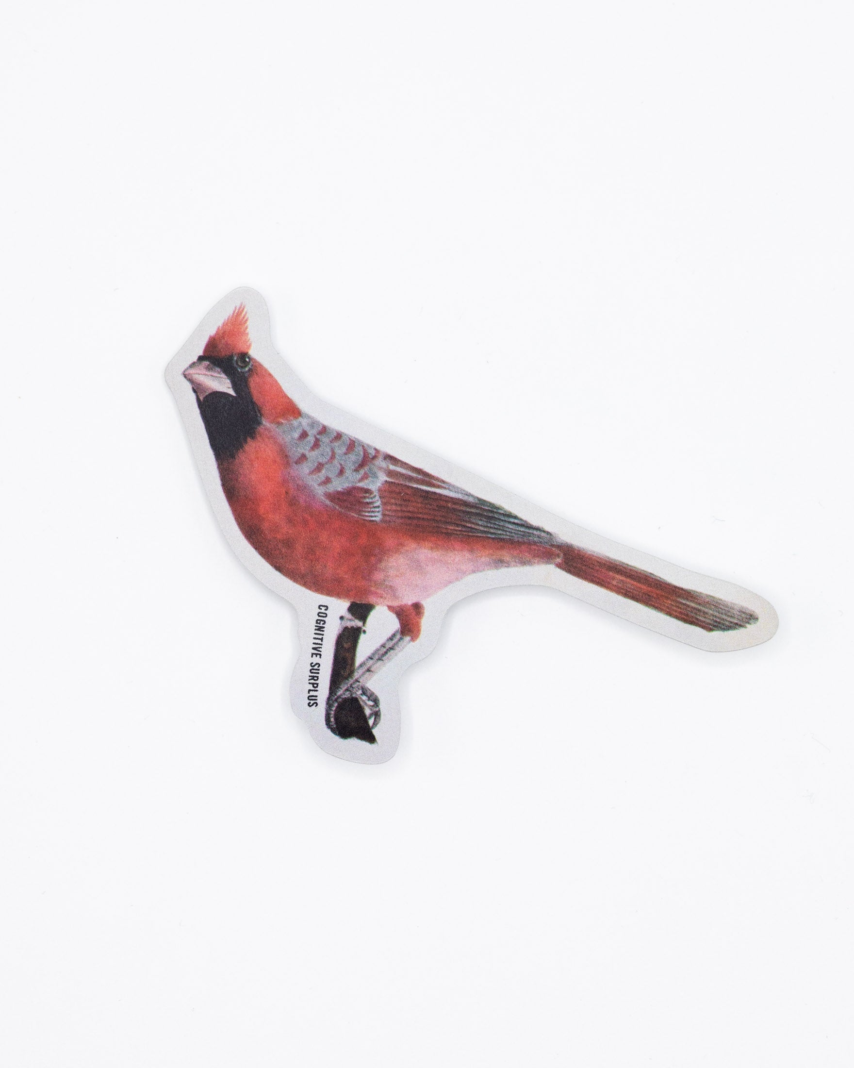 Cardinal Bird Sticker